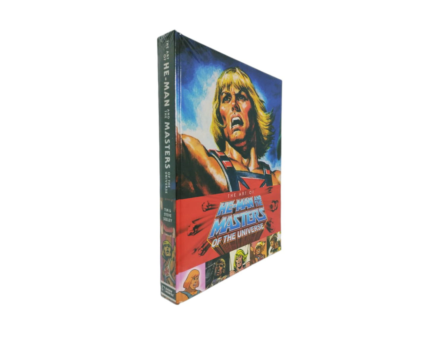MOTU Art Book The Art of He-Man and the Masters of the Universe Dark Horse