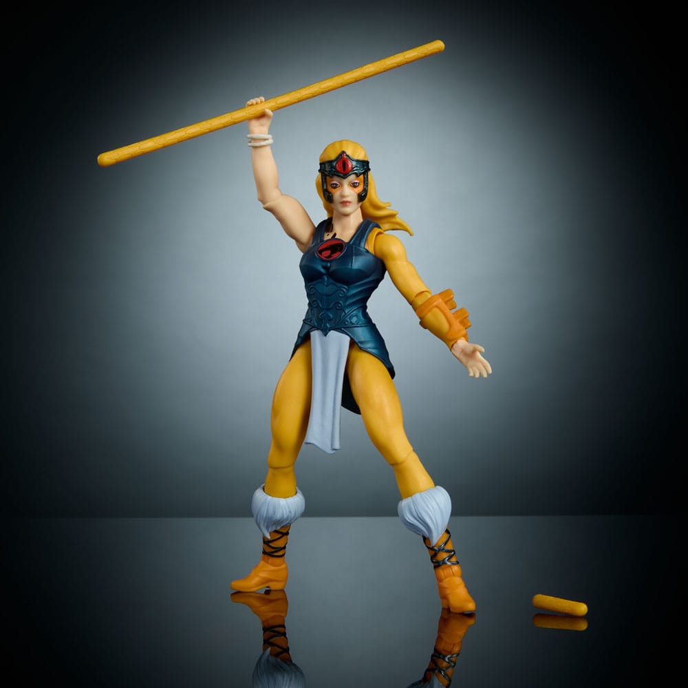 MOTU vs ThunderCats Origins WAVE-1 Cheetara Mattel